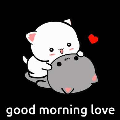 Domingsu Good Morning Love Cats