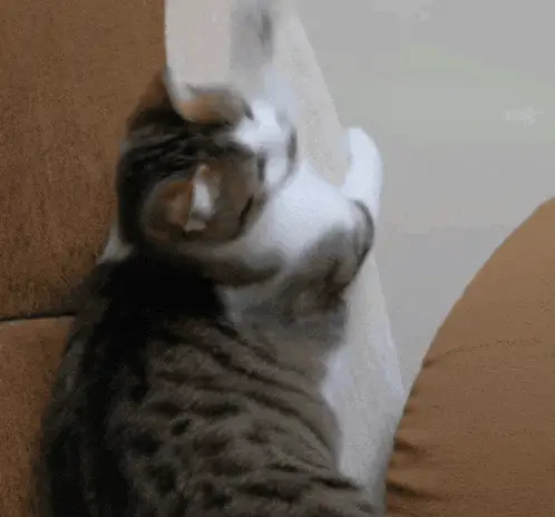 attachment