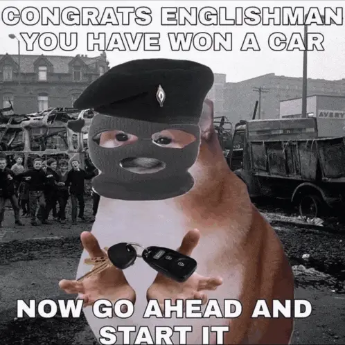 Ira Cat Ira Meme