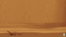 GIF uploaded by Jose Figueroa