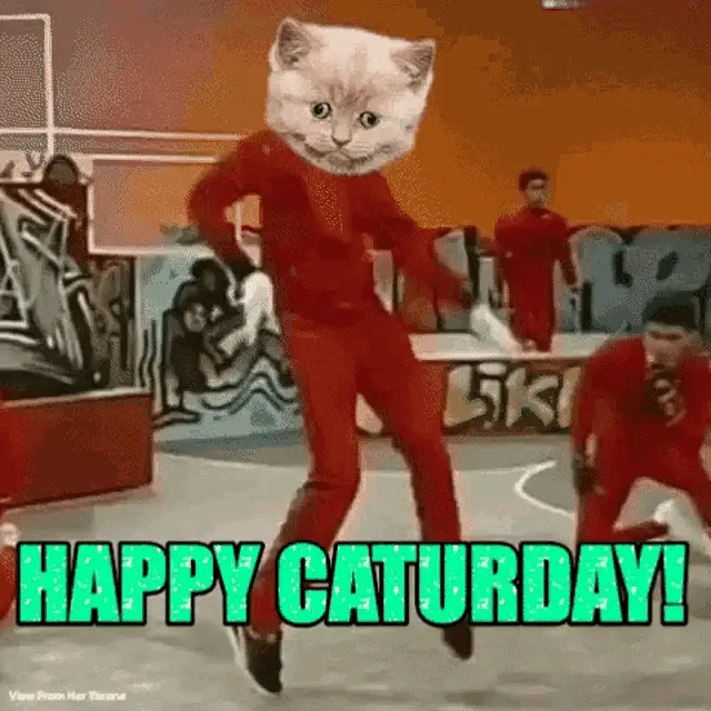 Happy Caturday Cat Dance – free GIF download | meme platform | memes GIF
