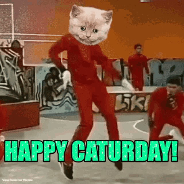 Happy Caturday Cat Dance