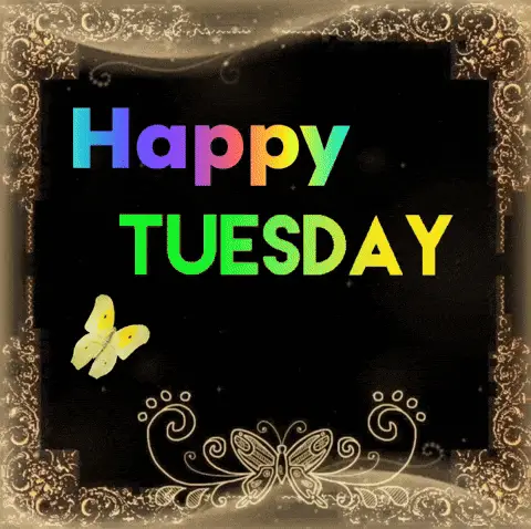 Happy Tuesday Greeting Card – free GIF download | memes GIF | meme platform