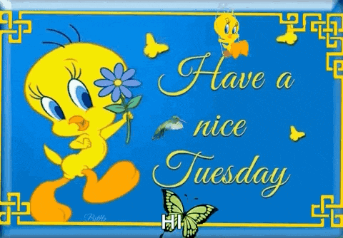 Happy Tuesday with Tweety Bird