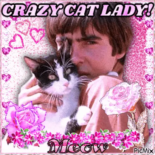 Davy Jones The Monkees: Crazy Cat Lady with Cat