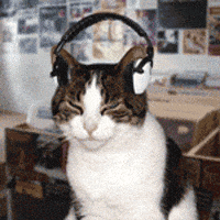 Cat Grooving to Music
