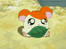 GIF dodany przez Perła
