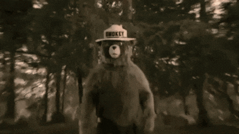 Smokey The Bear