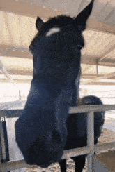 GIF uploaded by Tomáš