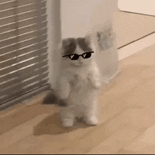 GIF