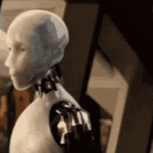 GIF