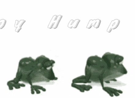 Happy Hump Day Frogs Leaping