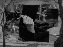 GIF uploaded by Rah