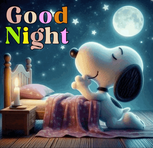Aroni Designer: Snoopy Says Good Night