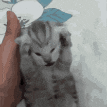 Nyx tarafından yüklenen GIF
