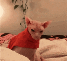 GIF uploaded by Sarah