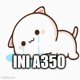 Crying Cat Meme: INI A350