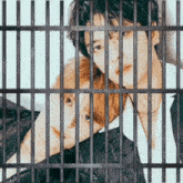 GIF 이미지