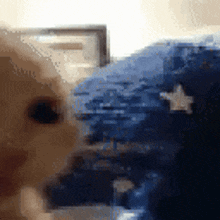 GIF dimuat naik oleh Shiro(ofc not my real)