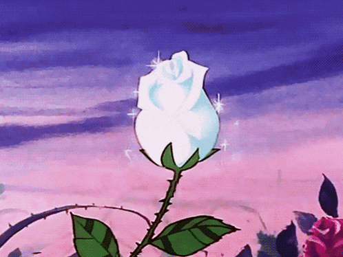 Sparkling White Rose Anime