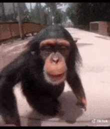 GIF อัปโหลดโดย Pouya