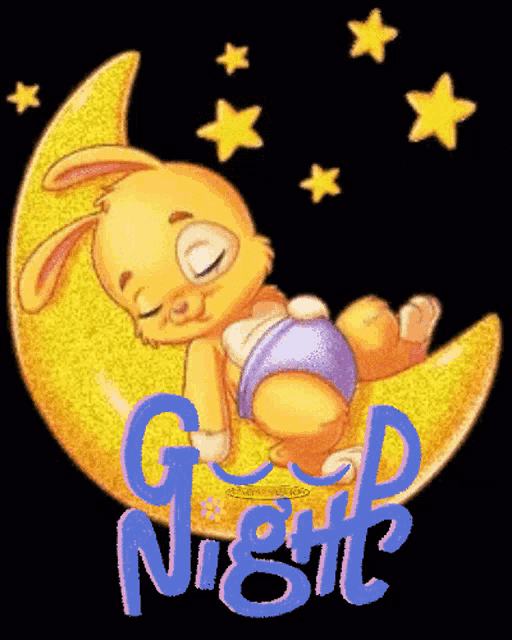 Night Vec50 - Good Night Bunny