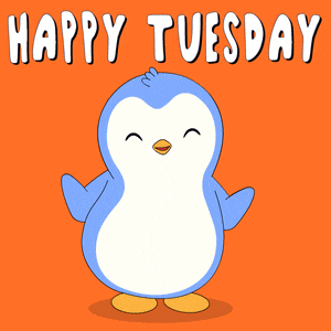 Happy Tuesday with a Cute Penguin