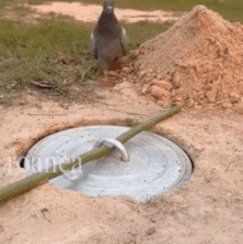 GIF