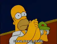 Homer Simpson Prier