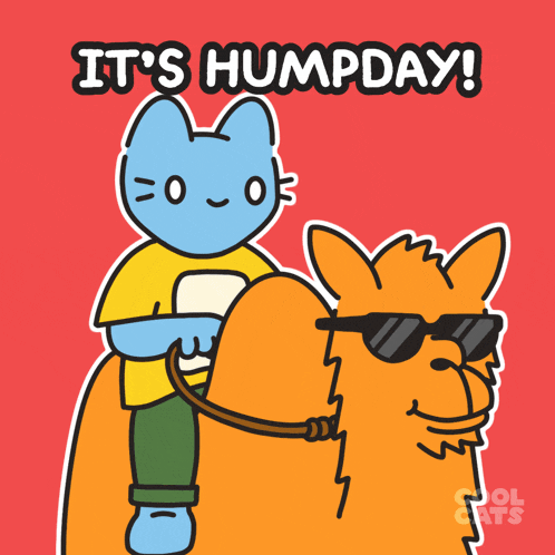 It's Humpday! Cat Riding Camel