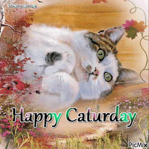Happy Caturday Cat Greeting