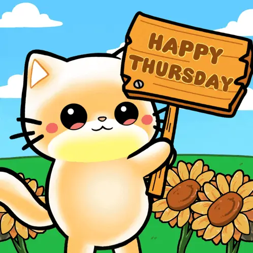Mochi Mochimon: Happy Thursday Cat – free GIF download | meme platform | memes GIF