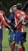Atletico Madrid Players Celebrate on Field