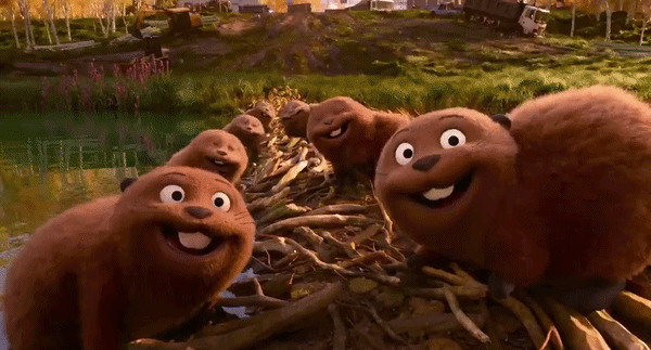 Beavers Pointing