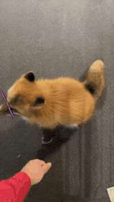 GIF uploaded by Luna