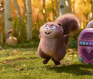 Squirrel Dancing