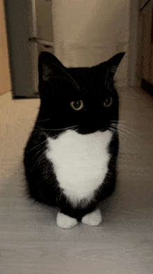 GIF được Grim Reaper tải lên