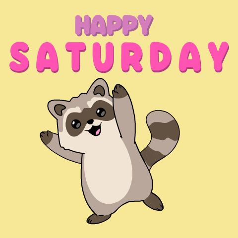 Happy Saturday Raccoon Dance