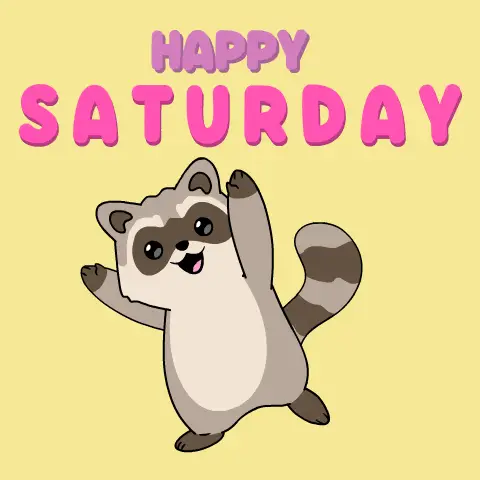 Happy Saturday Raccoon Dance – free GIF download | meme platform | memes GIF