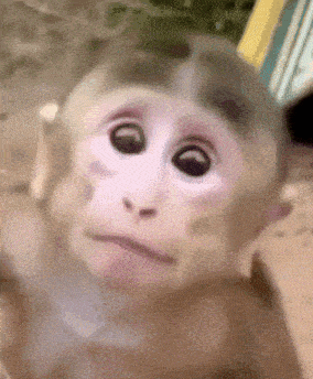 Baby Monkey's Surprising Creepy Smile