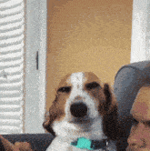 GIF tso los ntawm Dhruti