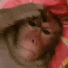 GIF uploaded by Fal