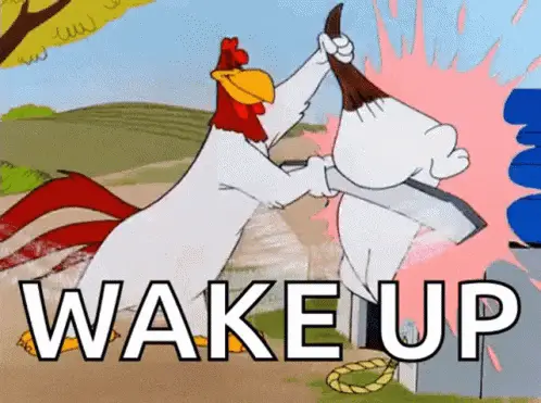 Wake Up Roosters – free GIF download | meme platform | memes GIF