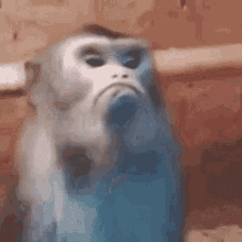 GIF enviado por David