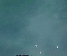 GIF naložil Ethan