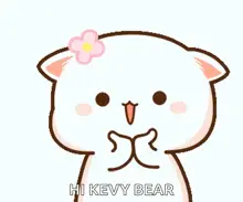 Kevy Bear: The Cute Cat