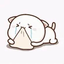 모찌냥의 슬픈 눈물