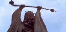 GIF