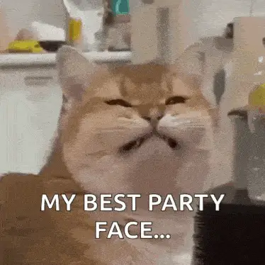 Funny Cat's Best Party Face – free GIF download | memes GIF | meme platform