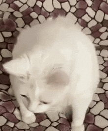 GIF ajouté par Eray